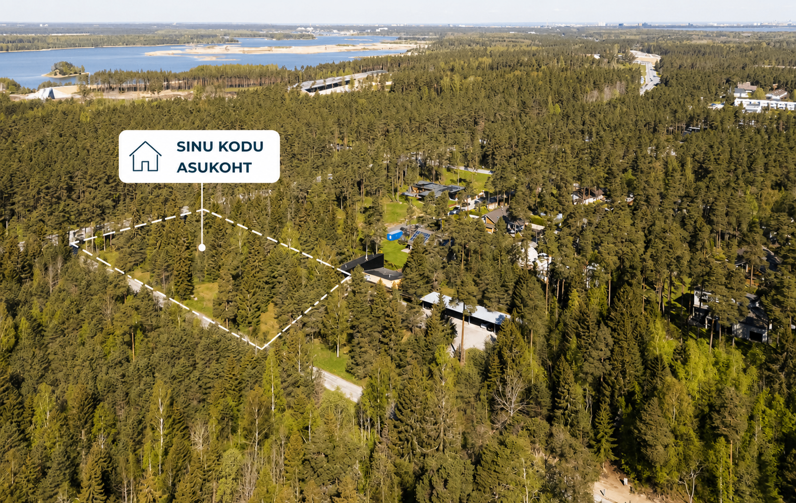 Aerofoto Kangrunõmme arendusalast — männimets ja krundi piir